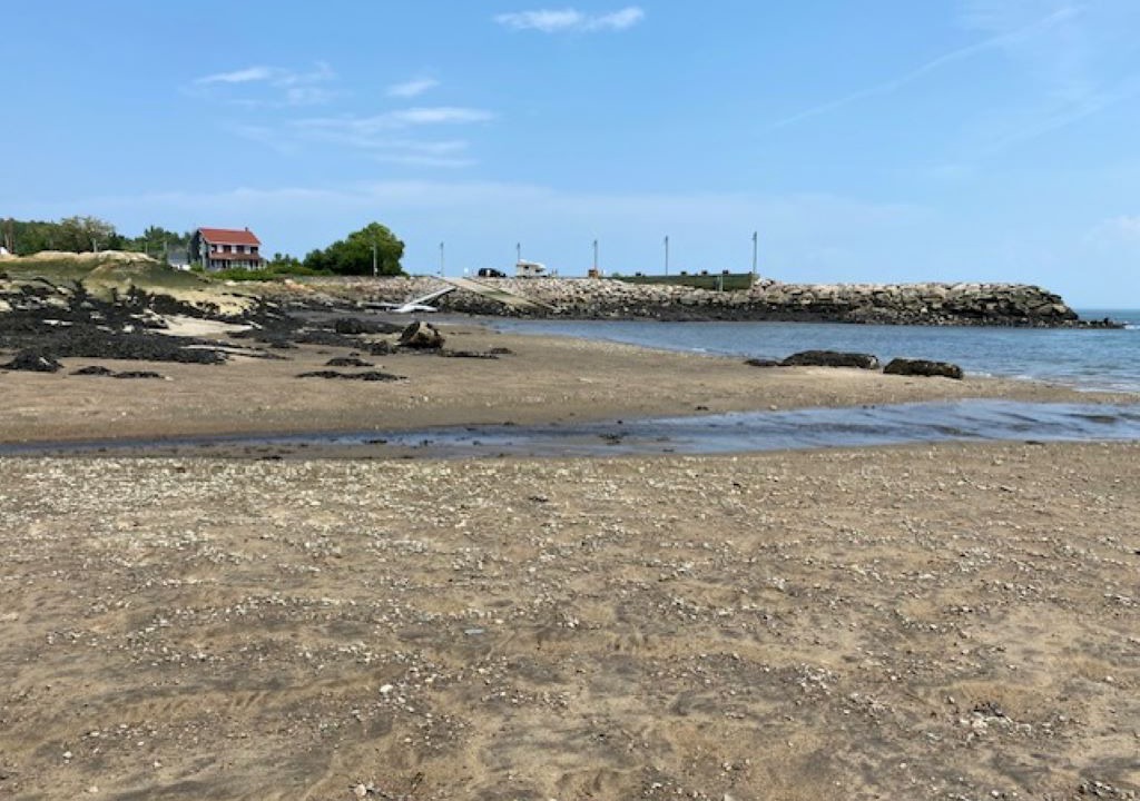 Photo of Others in Port-au-Persil
