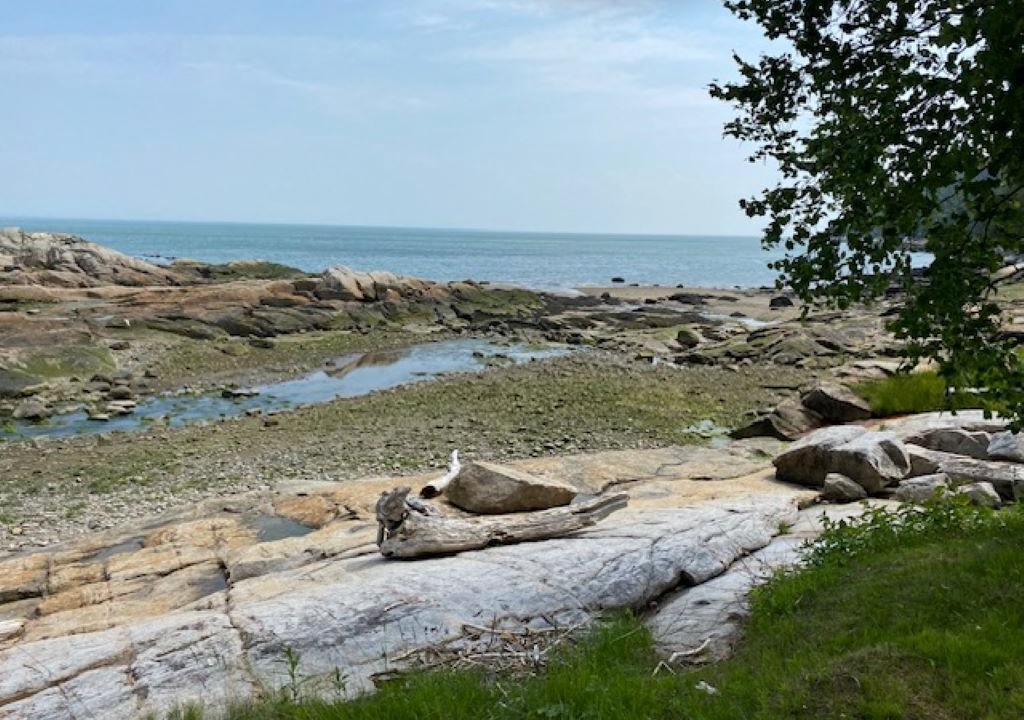 Photo of Others in Port-au-Persil