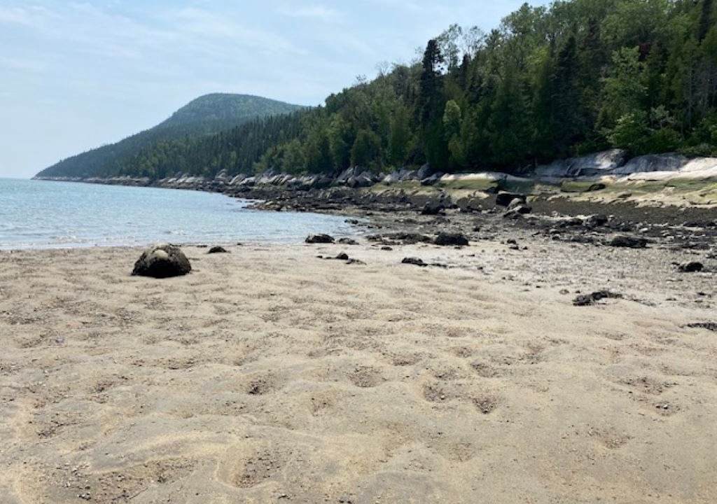 Photo of Others in Port-au-Persil