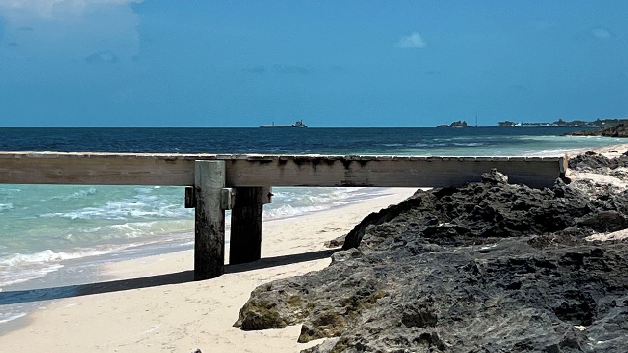 Photo of Others in South Bimini