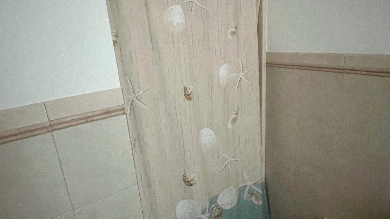 Photo of Bathroom in South Bimini