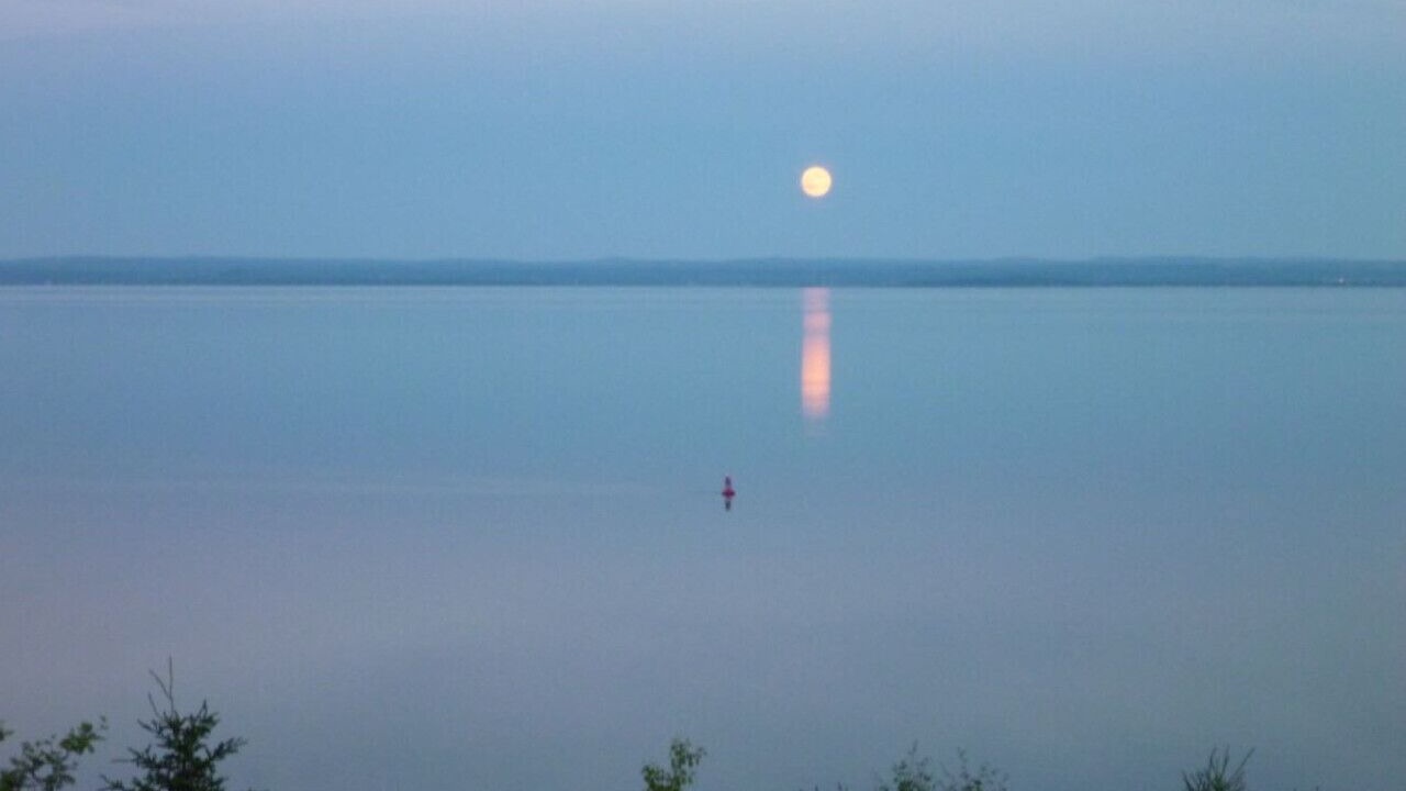 Photo of Others in Pointe-au-Pic