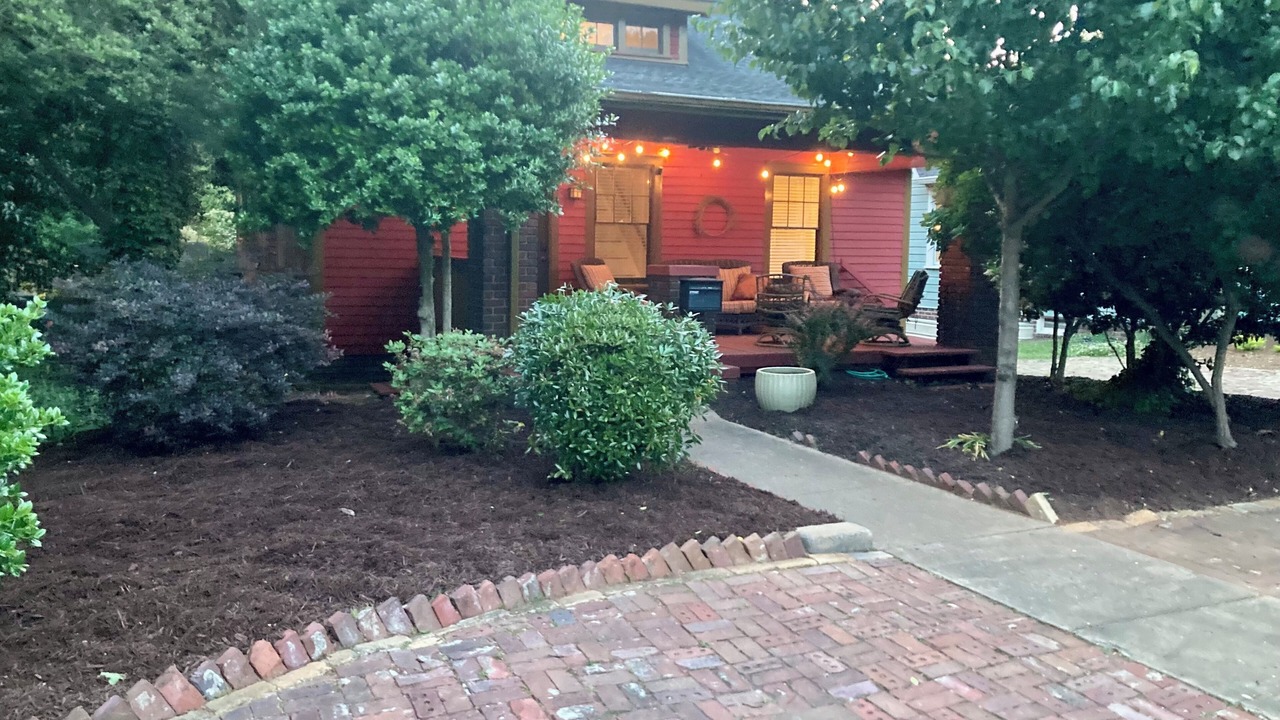 Photo of Outdoor in Plaza Midwood