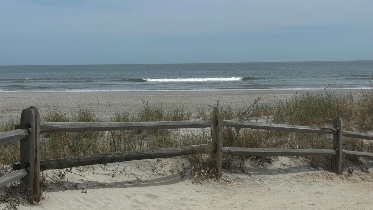 Photo of Others in Sea Isle City