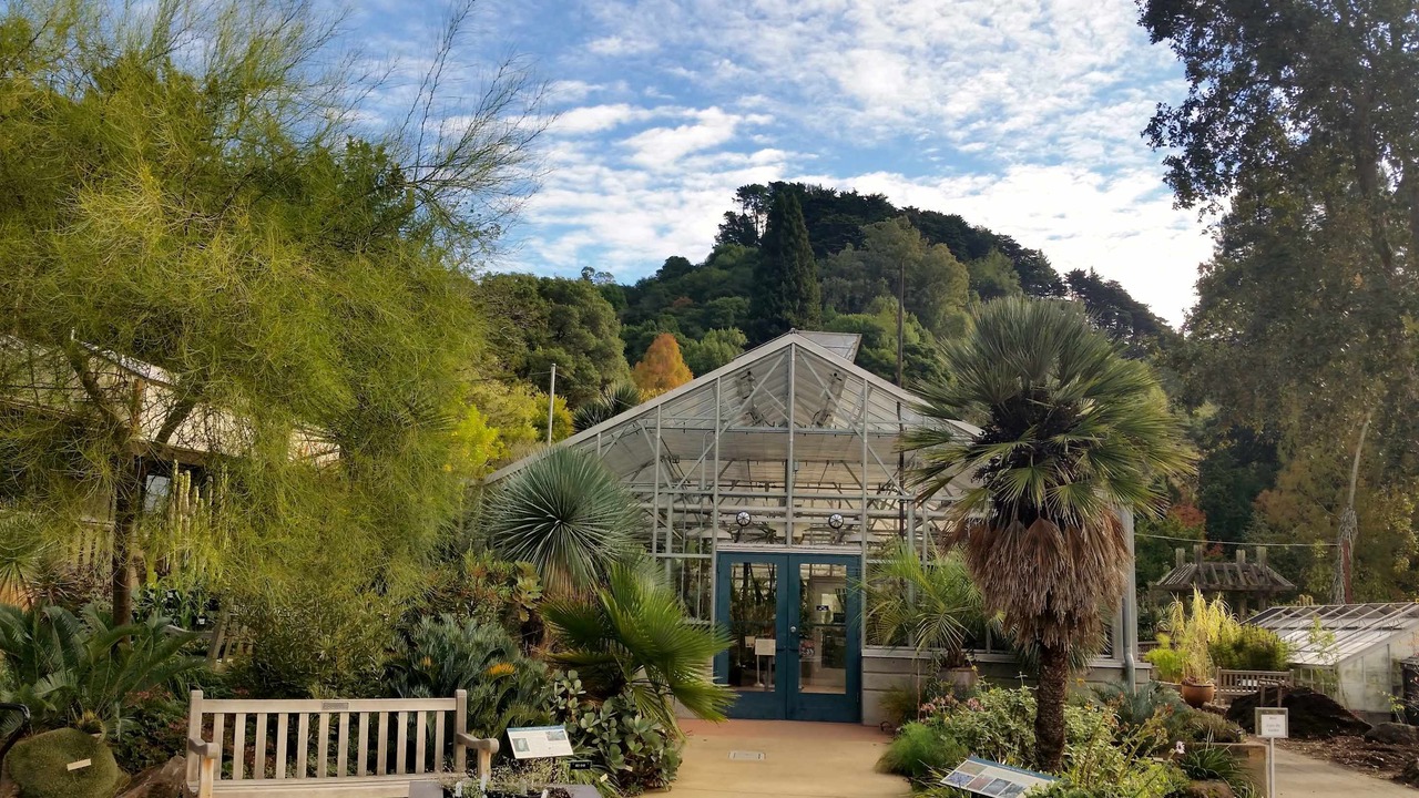 Photo of Outdoor in Berkeley