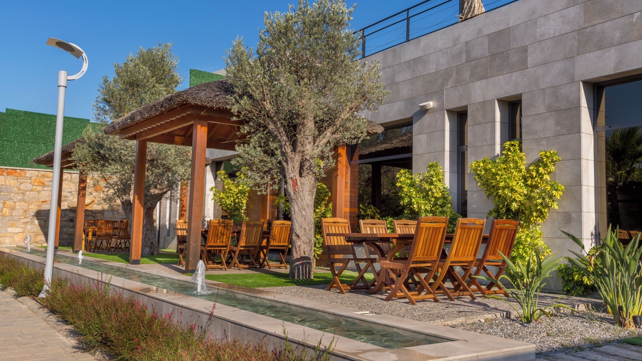Photo of Outdoor in Torba