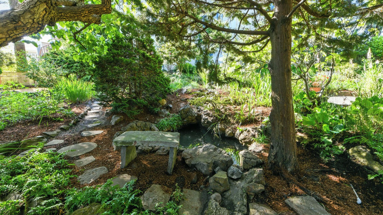 Photo of Outdoor in Berkeley