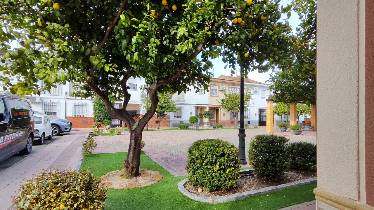 Photo of Outdoor in Jerez de la Frontera