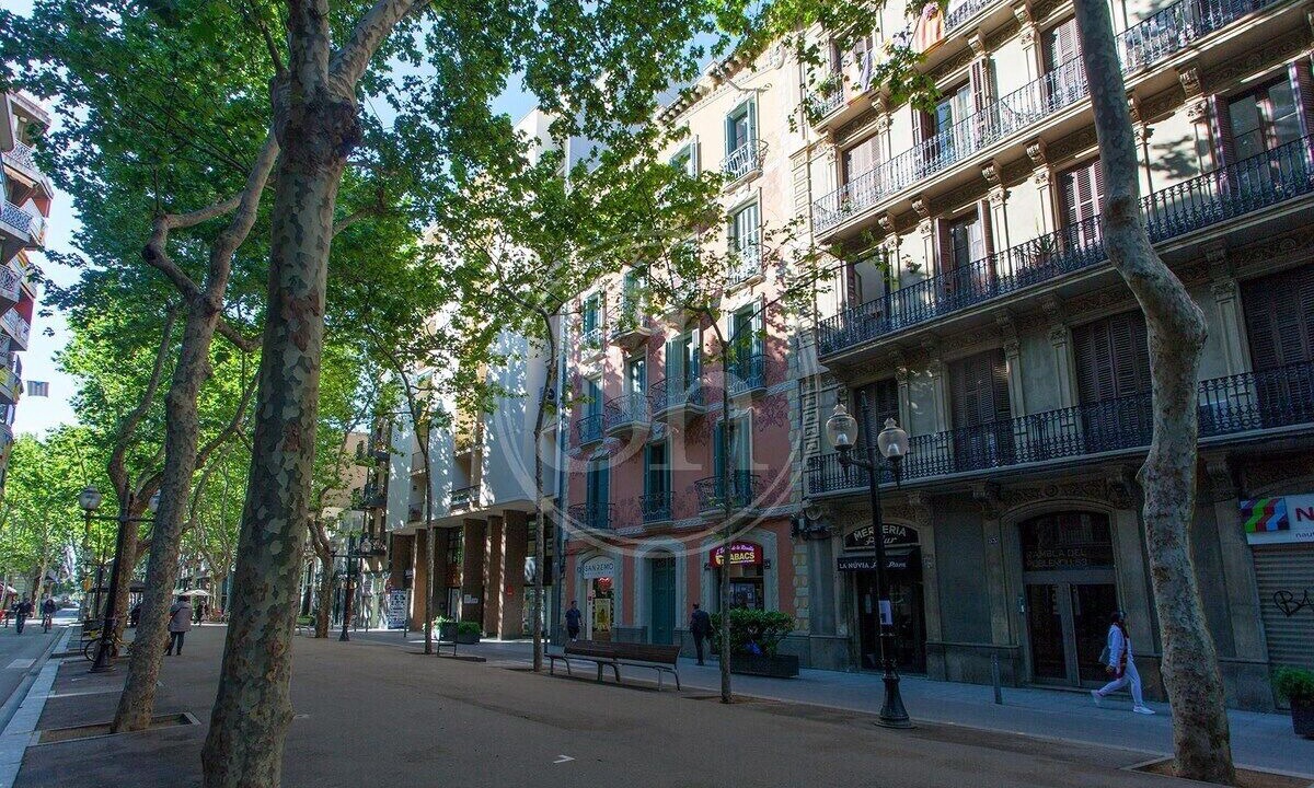 Photo of Others in Poblenou
