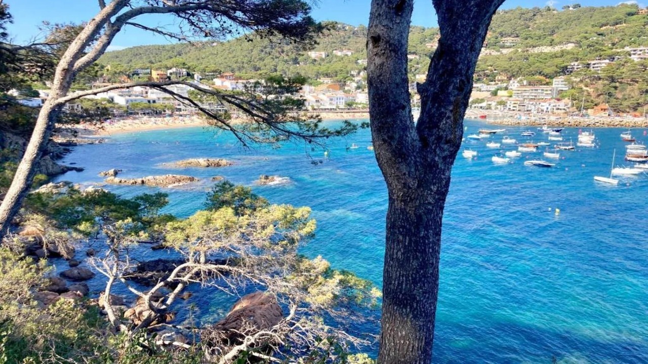 Photo of Others in Llafranc