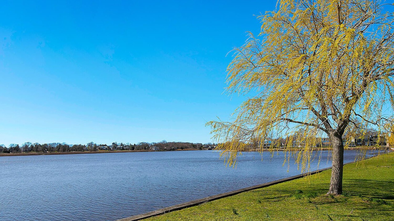 Photo of Others in Spring Lake