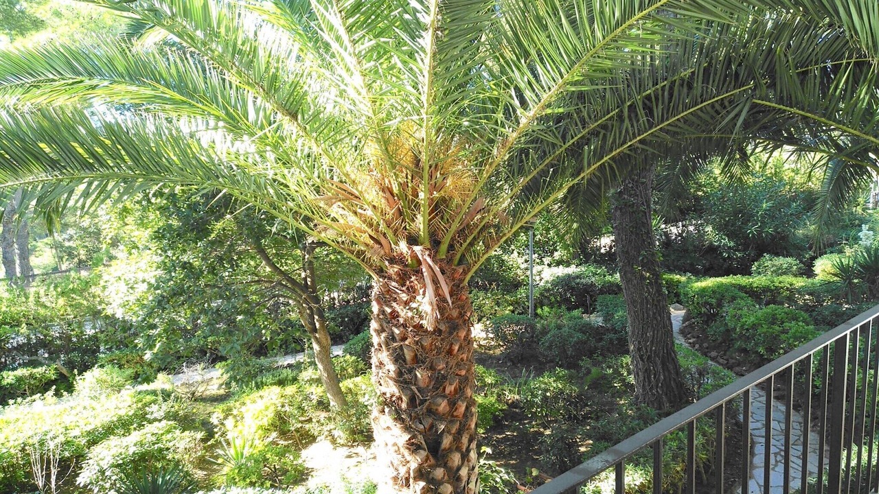 Photo of Outdoor in Llafranc