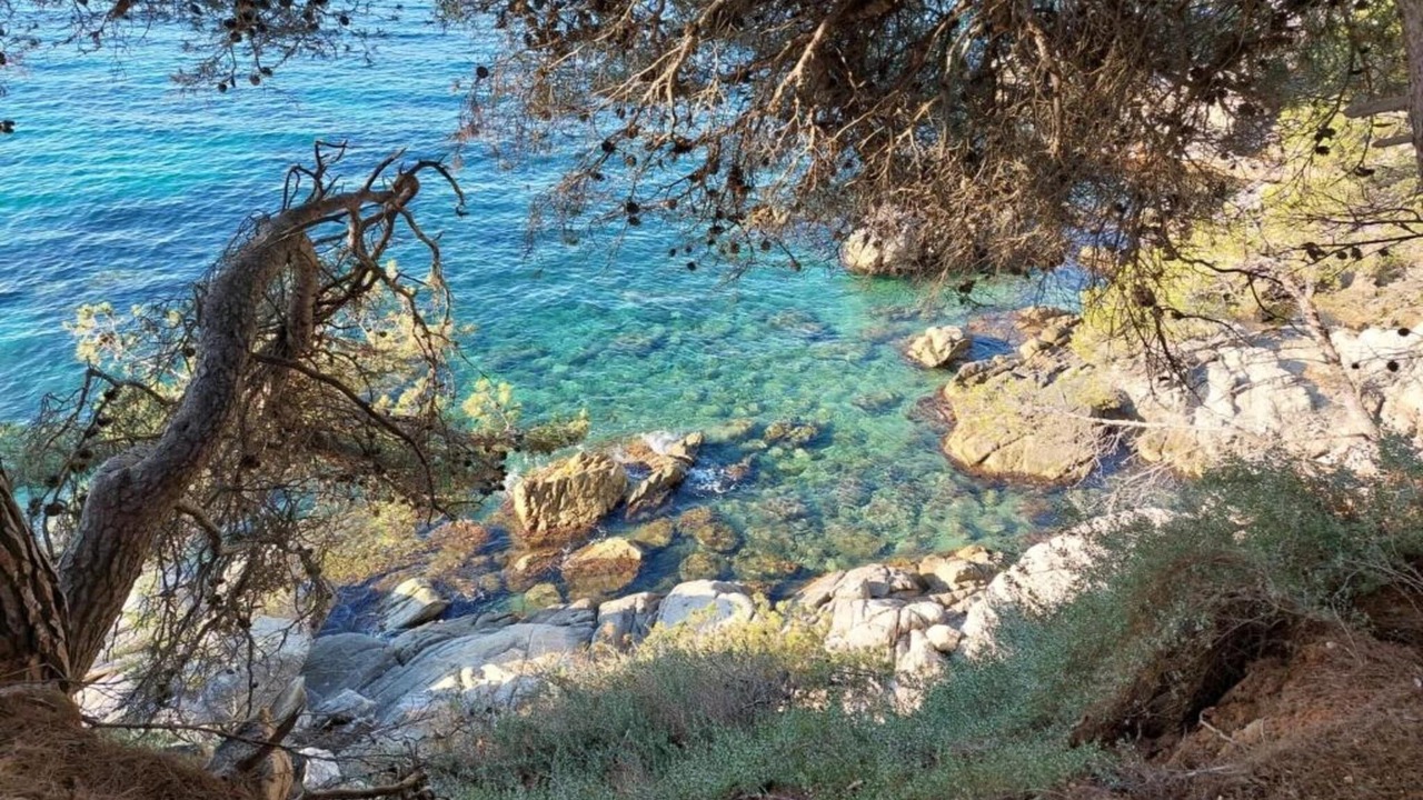 Photo of Others in Lloret Blau