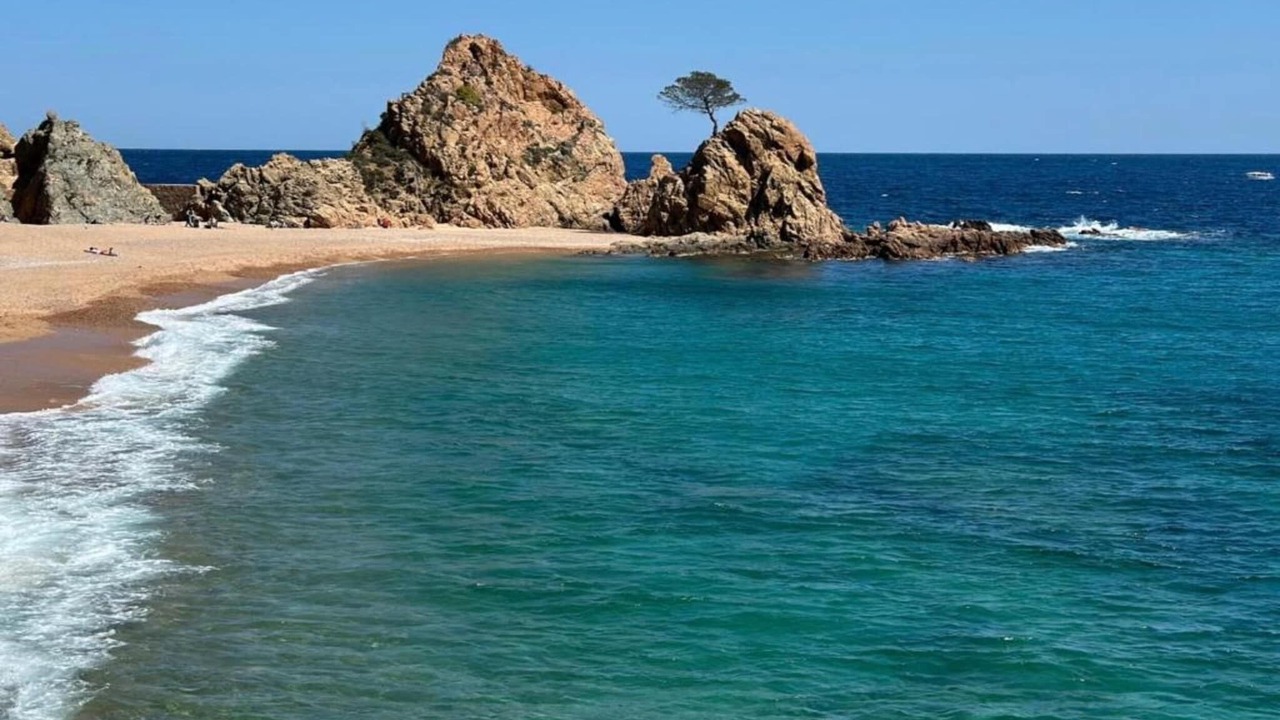 Photo of Others in Blanes