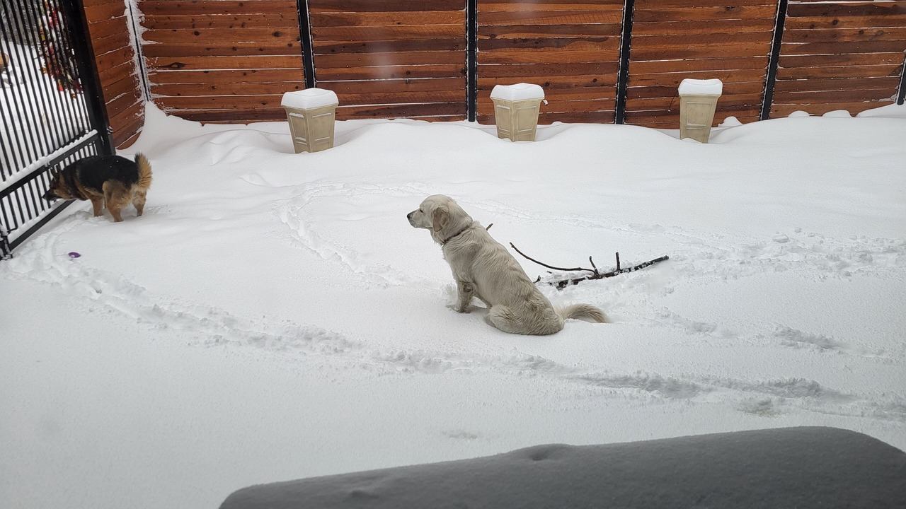 Photo of Outdoor in Stateline