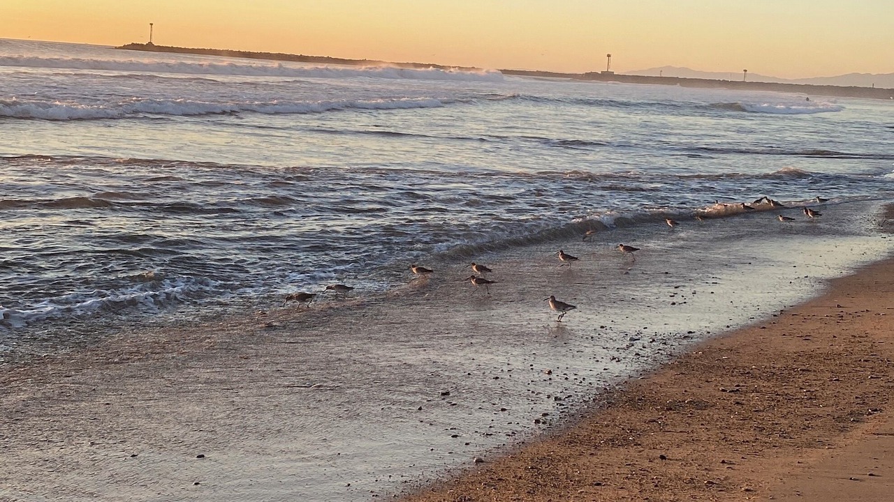 Photo of Others in Silver Strand