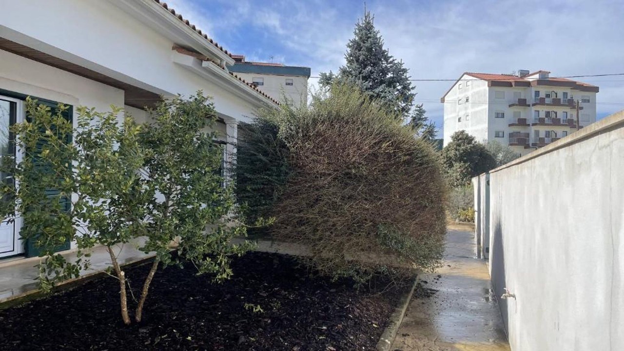 Photo of Outdoor in Fatima