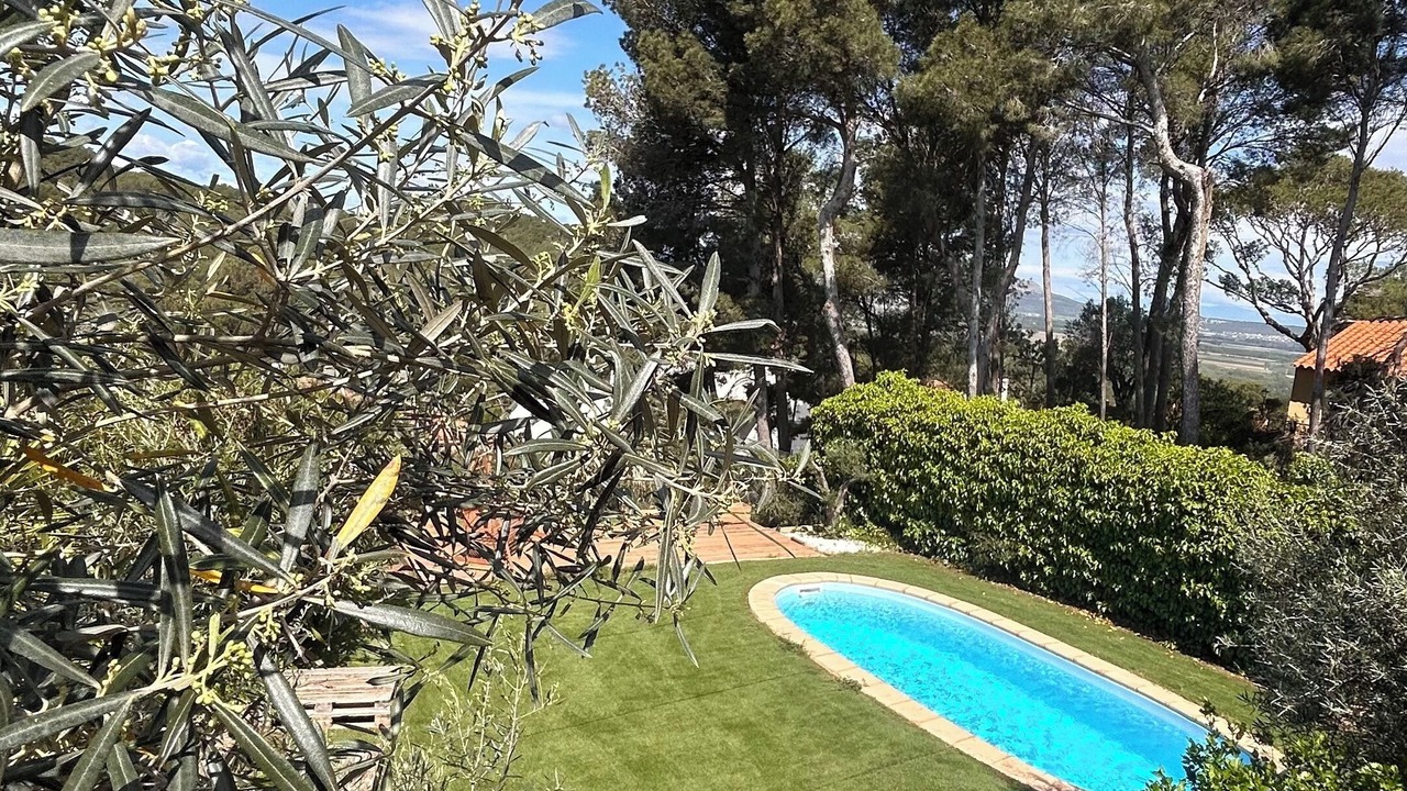 Photo of Outdoor in Pals