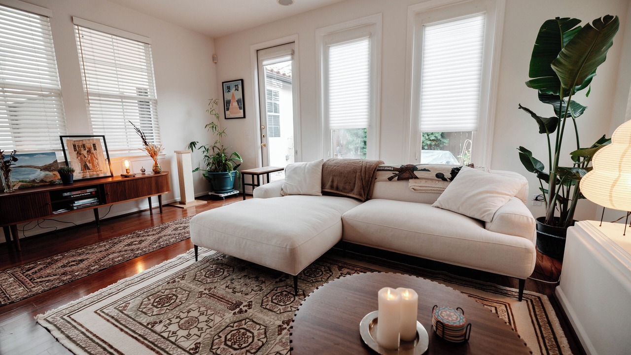 Photo of Livingroom in Novato
