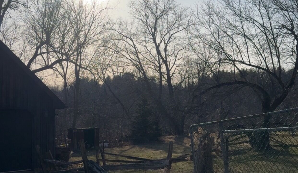 Photo of Outdoor in Georgetown