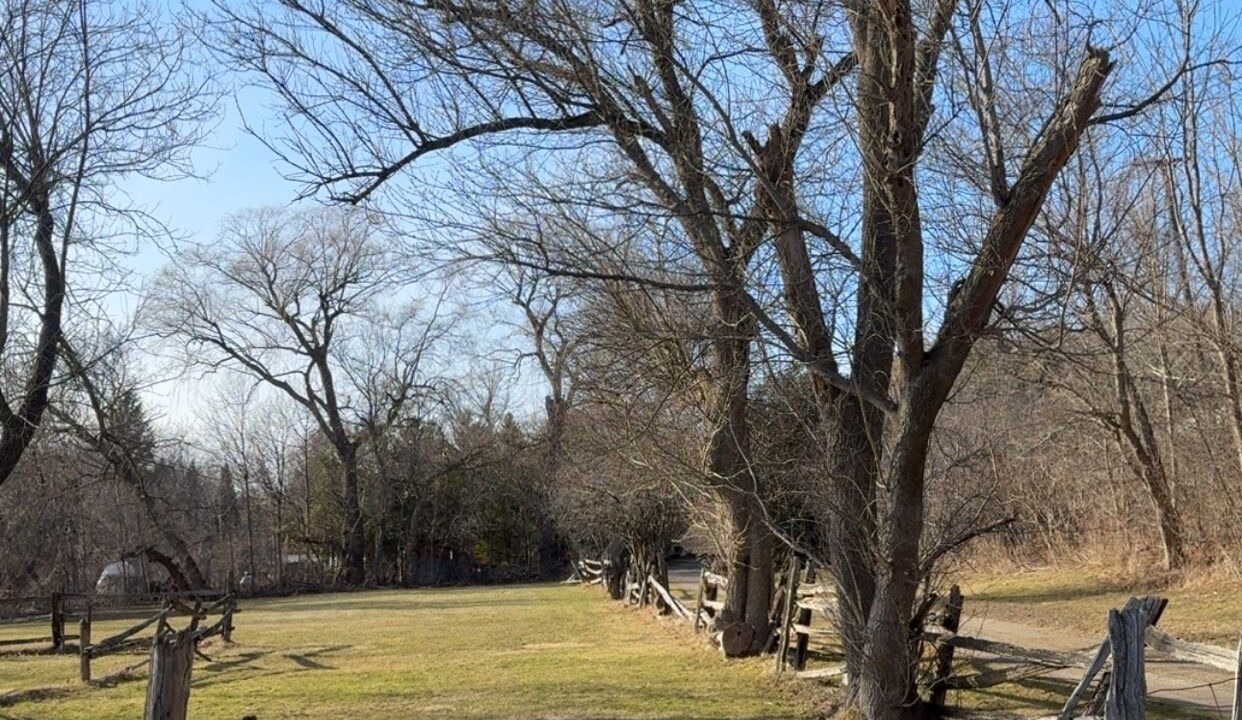 Photo of Others in Georgetown