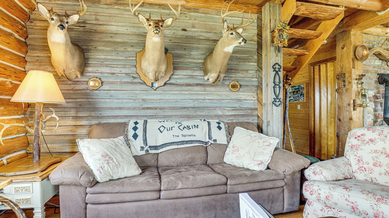 Photo of Livingroom in Hornell