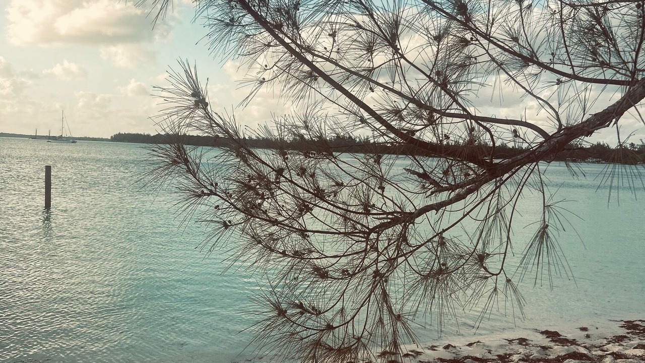 Photo of Others in Green Turtle Cay
