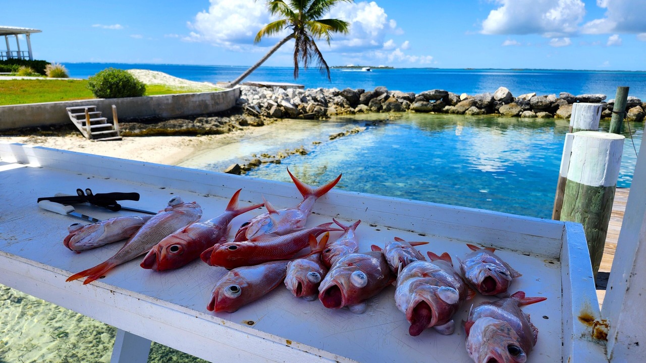Photo of Others in Great Guana Cay