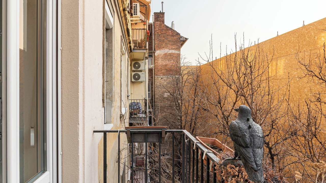 Photo of Outdoor in Palace District