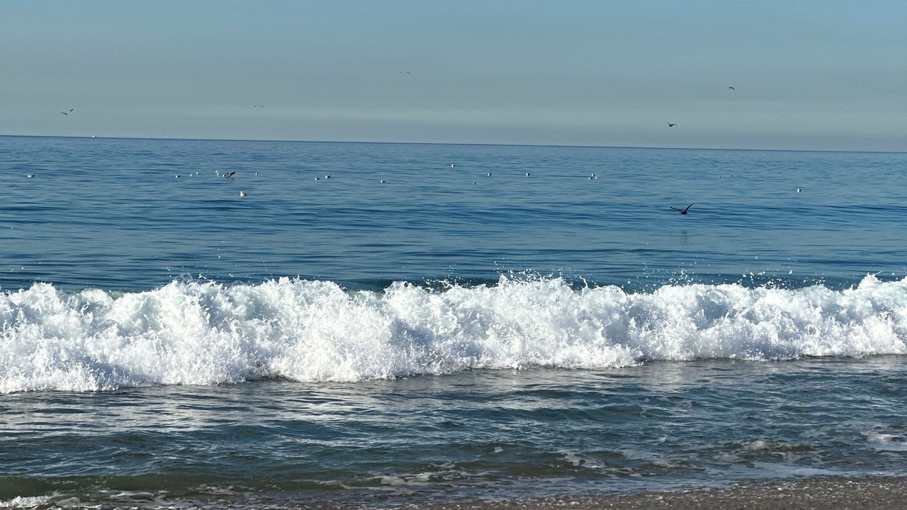 Photo of Others in Central Malibu