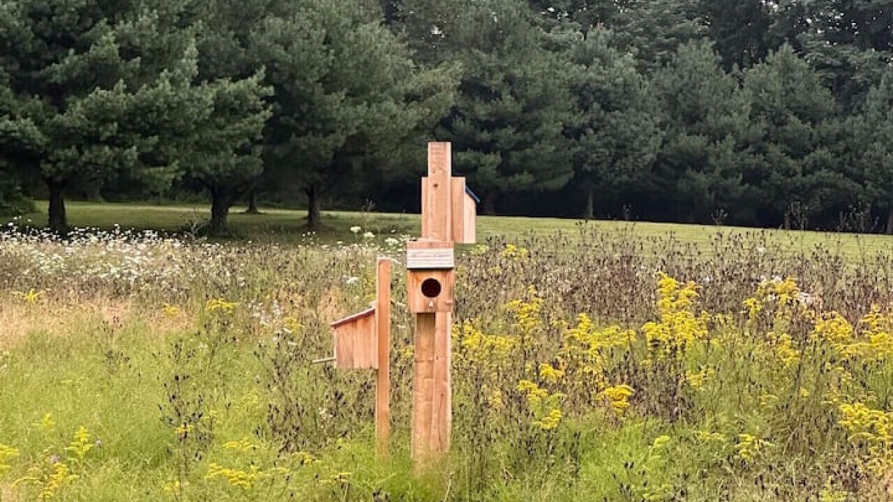 Photo of Others in Claverack-Red Mills