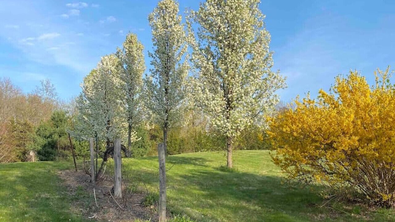 Photo of Outdoor in Claverack-Red Mills
