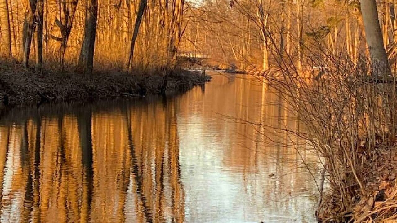 Photo of Others in Claverack-Red Mills