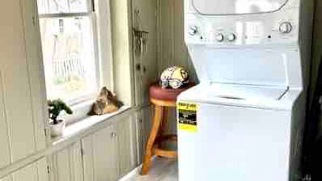 Photo of Others in Claverack-Red Mills