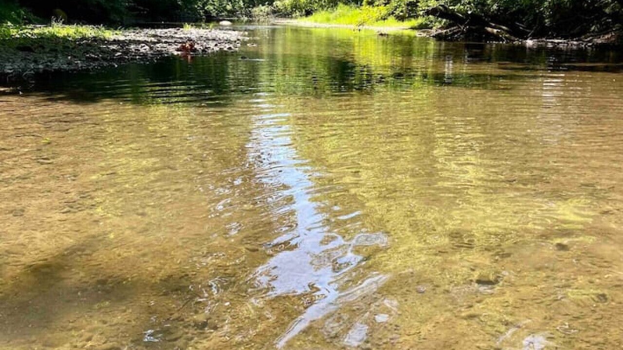 Photo of Others in Claverack-Red Mills