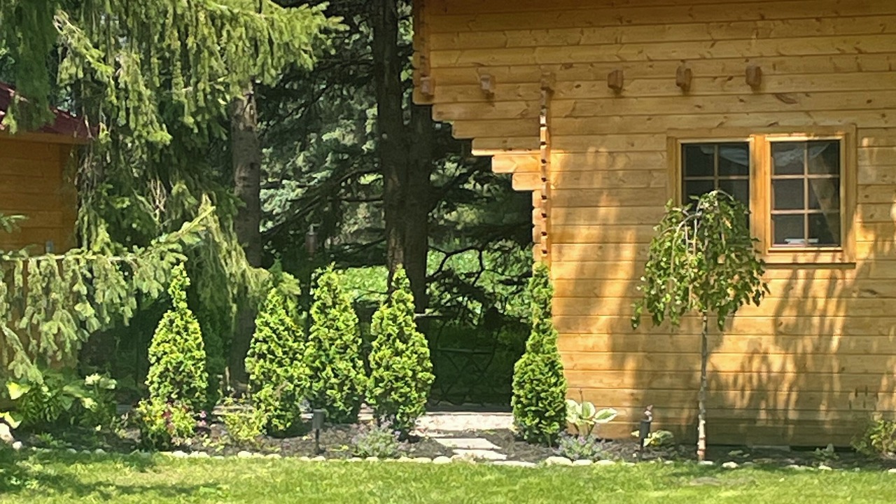 Photo of Outdoor in Belwood