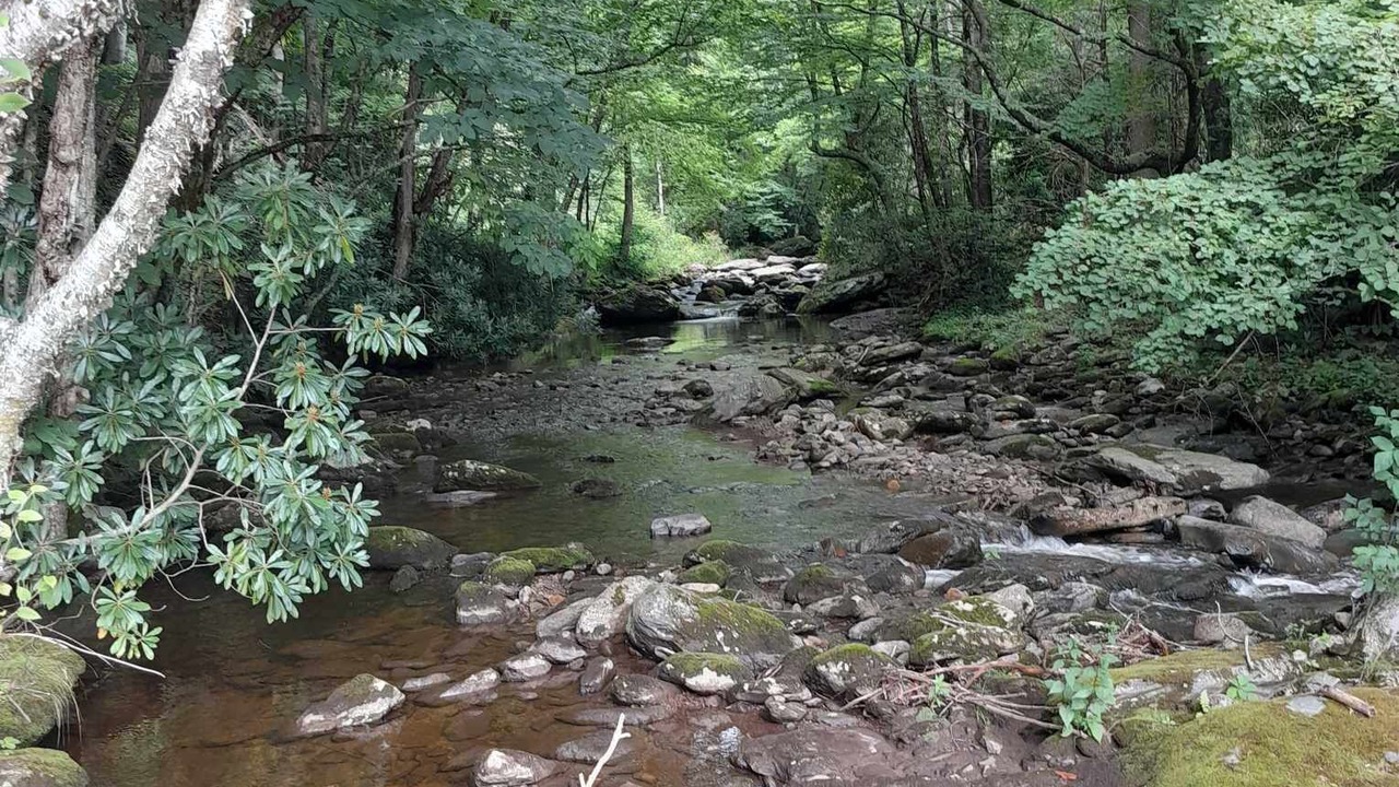Photo of Others in Wilson Creek