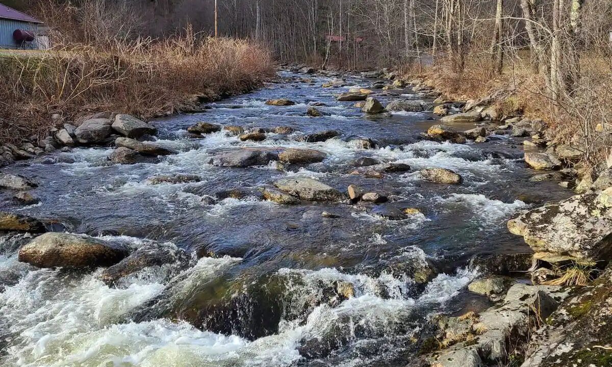 Photo of Others in Wilson Creek