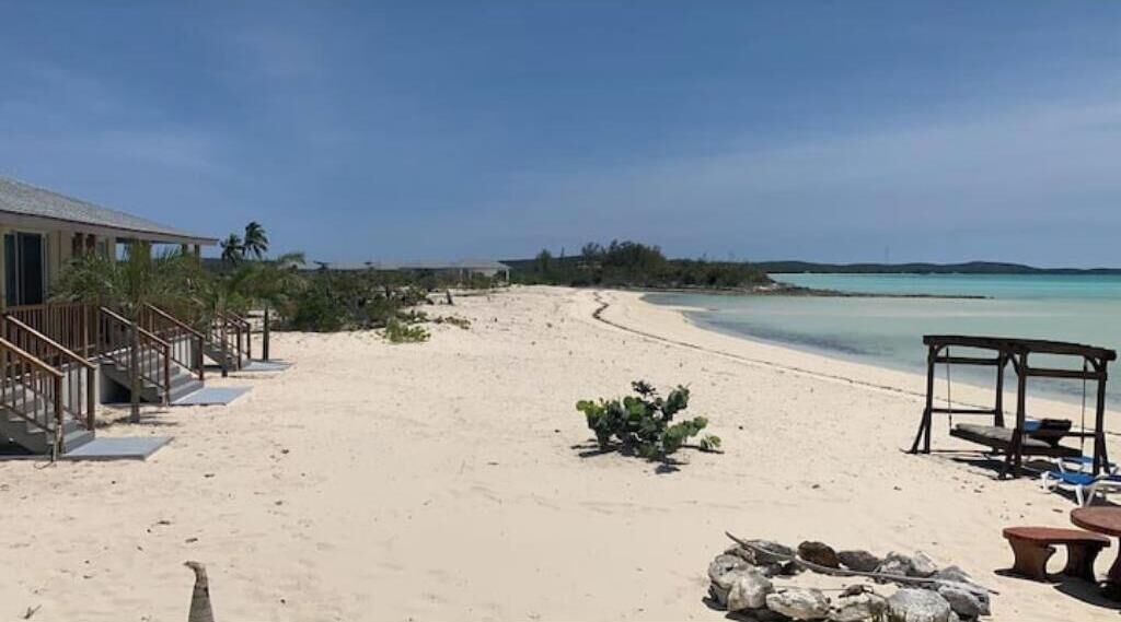 Photo of Others in New Bight