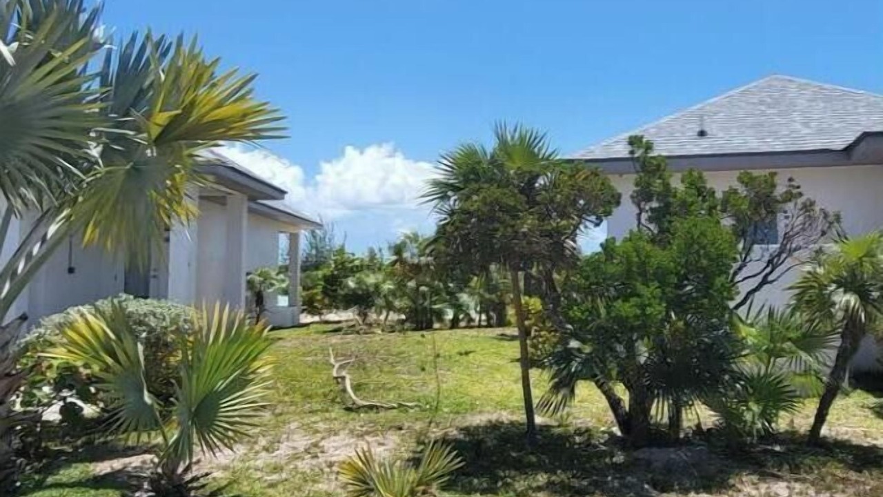 Photo of Outdoor in New Bight
