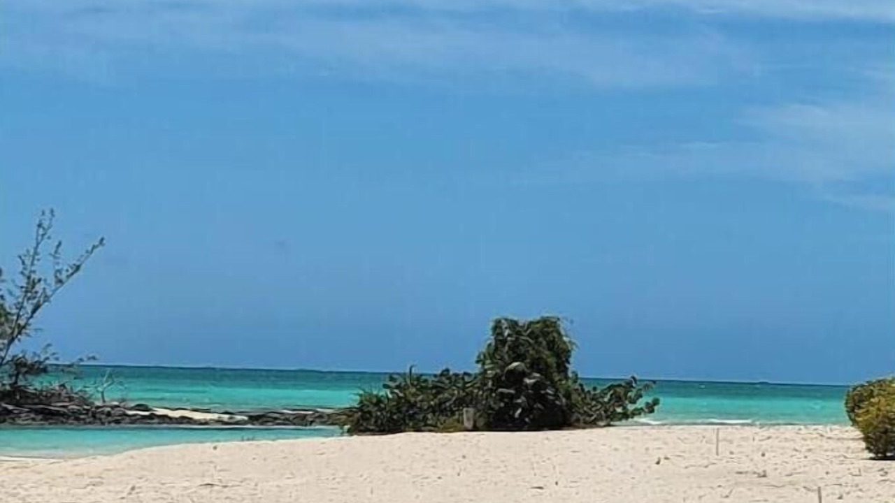 Photo of Others in New Bight