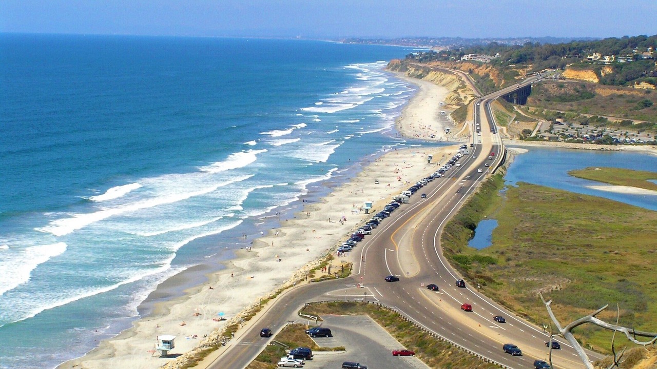 Photo of Others in Del Mar Heights