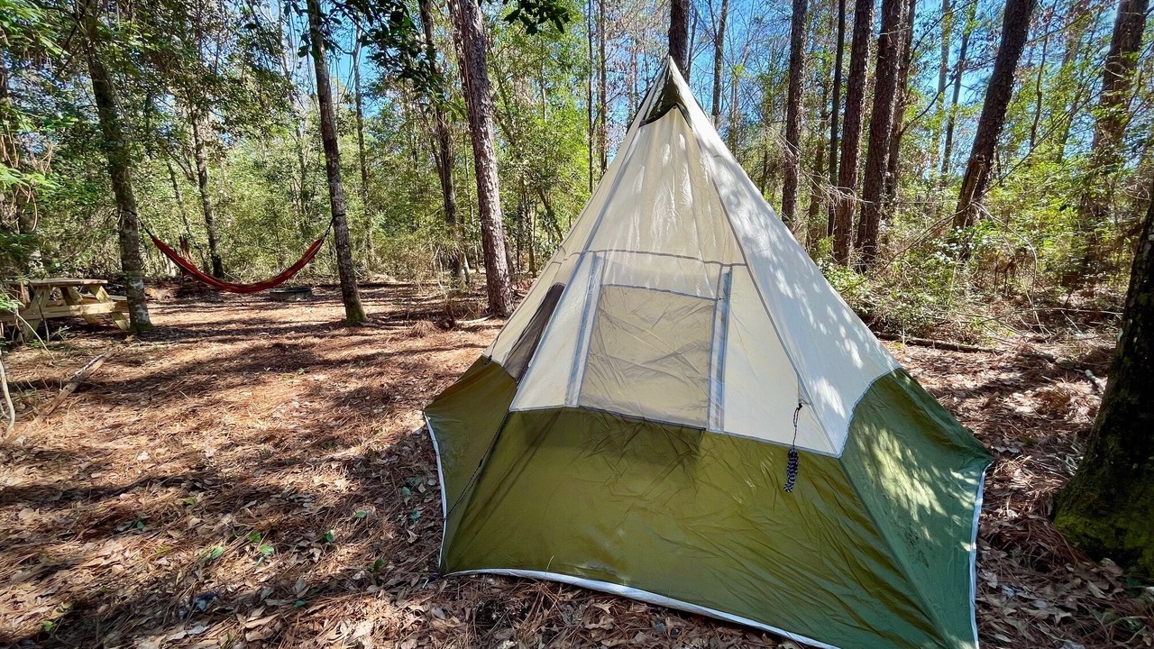 Photo of Others in Florida Panhandle