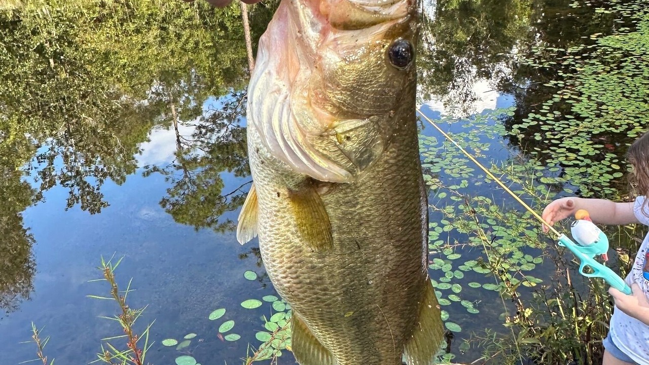 Photo of Others in Florida Panhandle