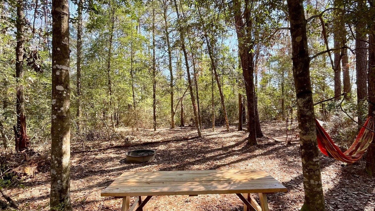 Photo of Others in Florida Panhandle