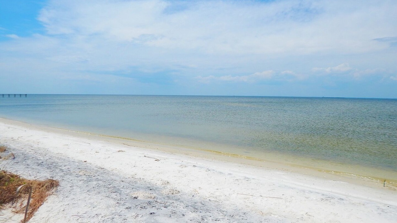 Photo of Others in Silver Cay