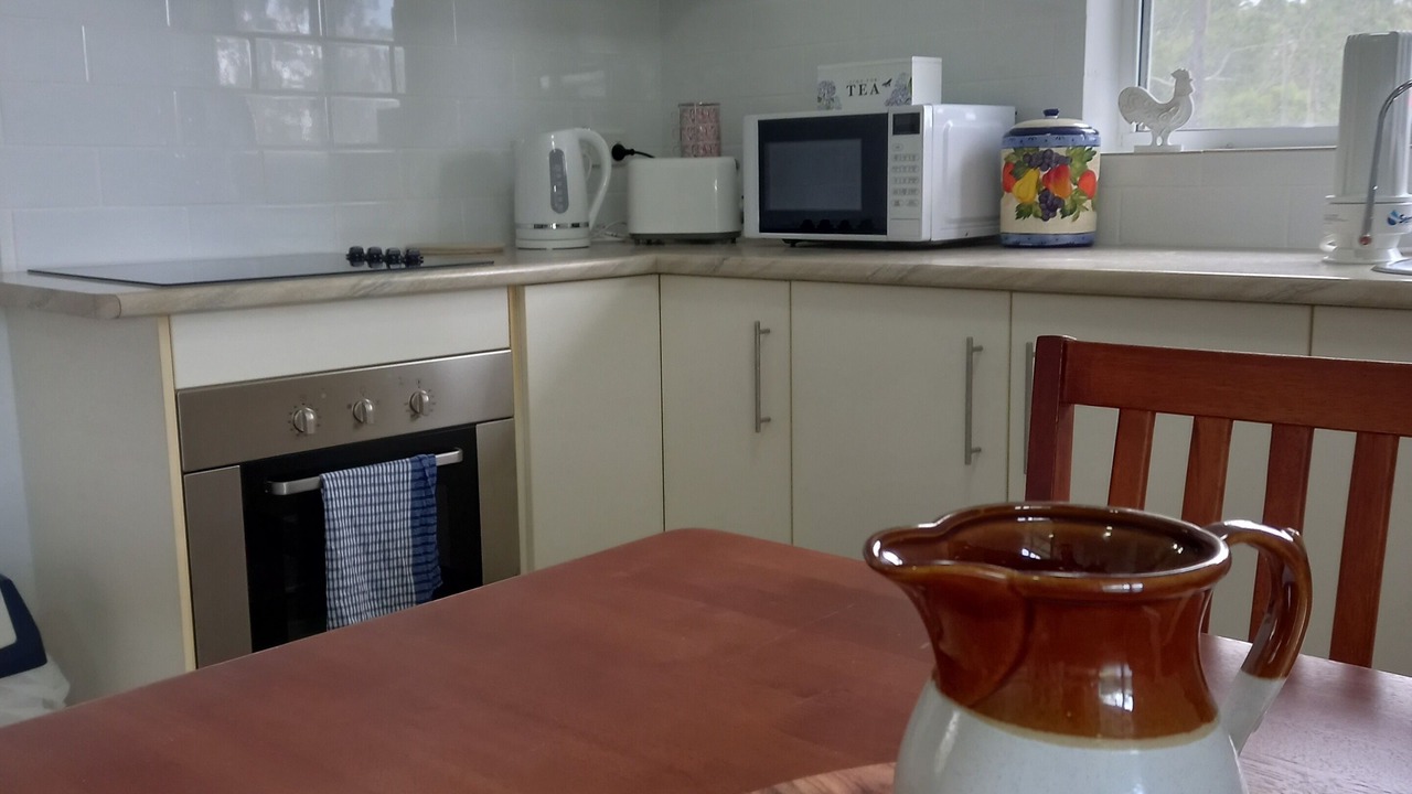 Photo of Kitchen in Delan