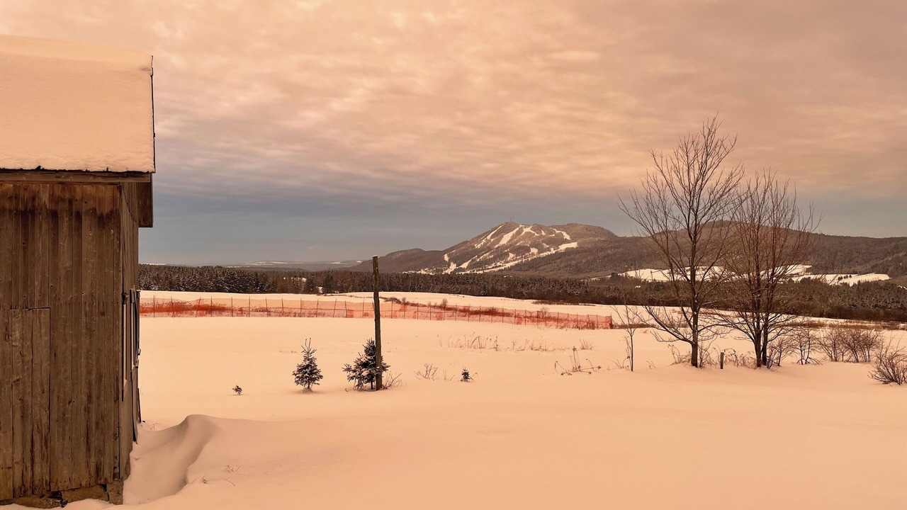 Photo of Others in Lac-Etchemin