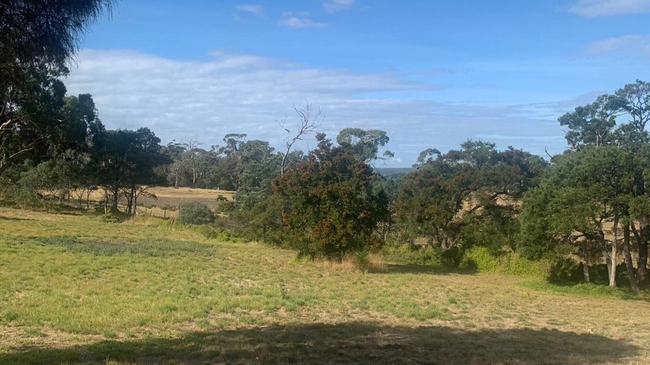 Photo of Others in South Arm