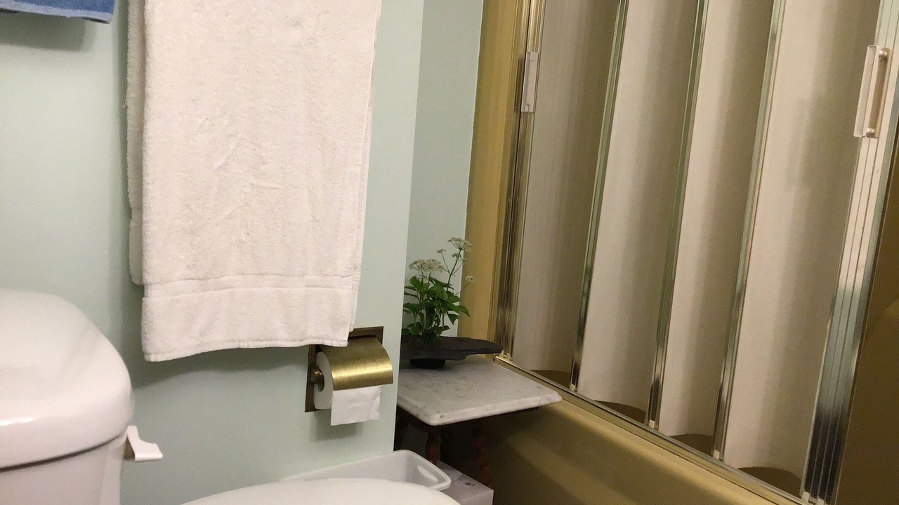 Photo of Bathroom in Dunkirk